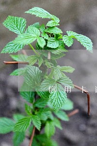信用卡逾期上征信 销卡 信用卡逾期上征信 销卡